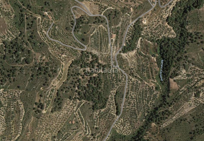 Foto ee5a05d0-3d08-44a9-a6a4-936e460791d4. Terrain résidentiel dans Benifato