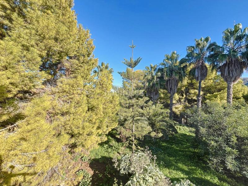 Foto d40e5c83-8076-4c09-bbc3-3d046fd44673. Chalet en Levante Alto Benidorm