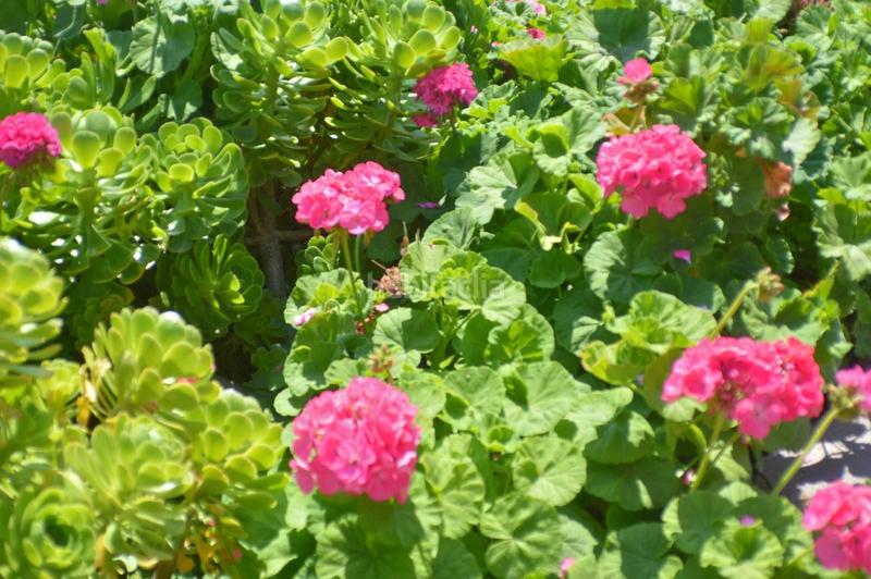 Foto b8753a5f-e631-4a13-b626-f1160f5ea894. Residential plot in Centro-El Castillo Sagunt