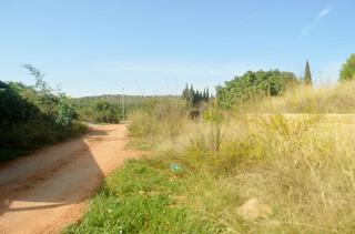 Terreny residencial a Alfinach - Monasterios. Parcela en alfinach en calle sin salida