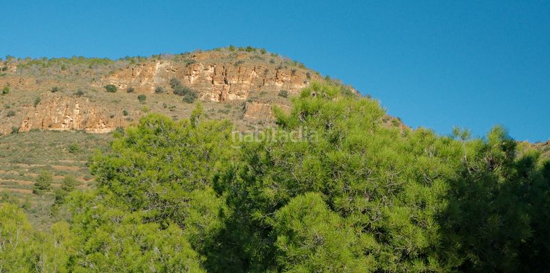 Foto c78640dc-0e6b-4d11-9fbf-9ce11b5dfe9a. Alquiler chalet  reformado en alquiler amueblado en los monasterios en Sagunt