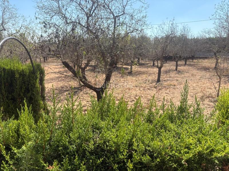 Foto 00e48097-48ba-4bf9-be15-8fc626ee0bf3. Casa amb piscina a Godelleta