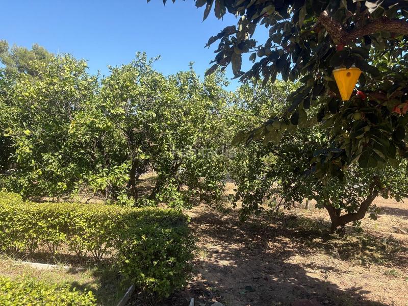 Foto 10319cb9-f8cc-4537-89ad-205a9cc629ac. Casa amb piscina a Godelleta