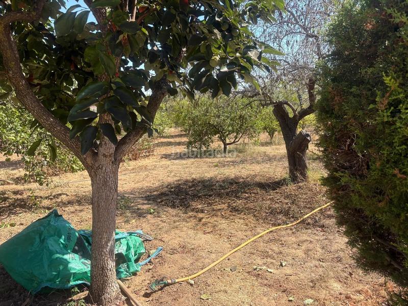 Foto 3577fb40-be63-432e-b302-8b7c3d874138. Casa amb piscina a Godelleta