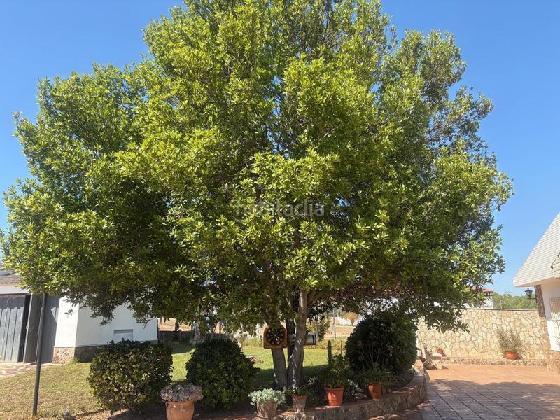 Foto 5ee276c4-e638-4df6-aad9-e77d0e9156d1. Casa amb piscina a Godelleta