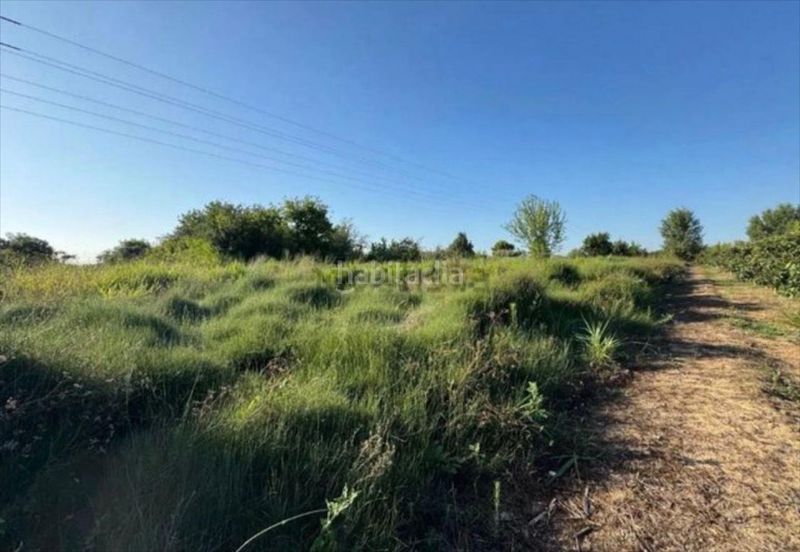 Foto 6831832f-3791-4658-b9c0-d2a905965989. Finca rústica a cami de la marjal a Albal