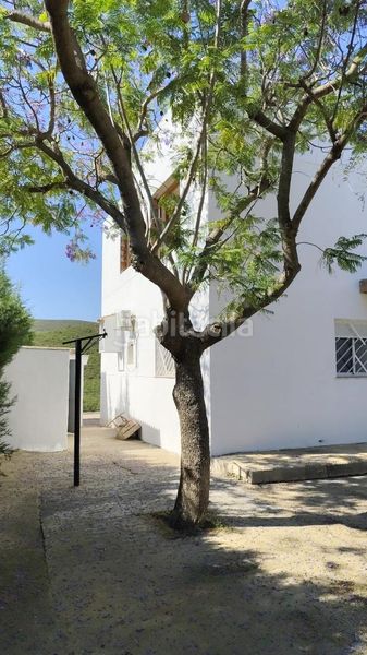 Foto 546bee6e-c3e4-40a5-ac21-b7b4aa15f4fc. Casa amb piscina a Cheste