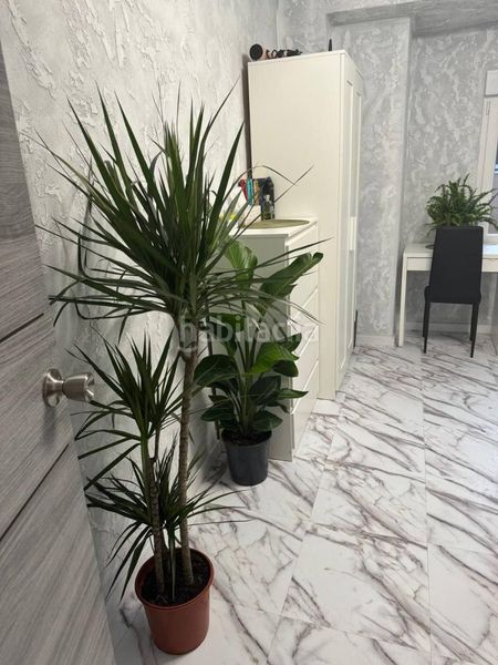 Foto e37fe66e-3050-4de1-8dcc-5ab249798e35. Apartament a Juzgados Mislata