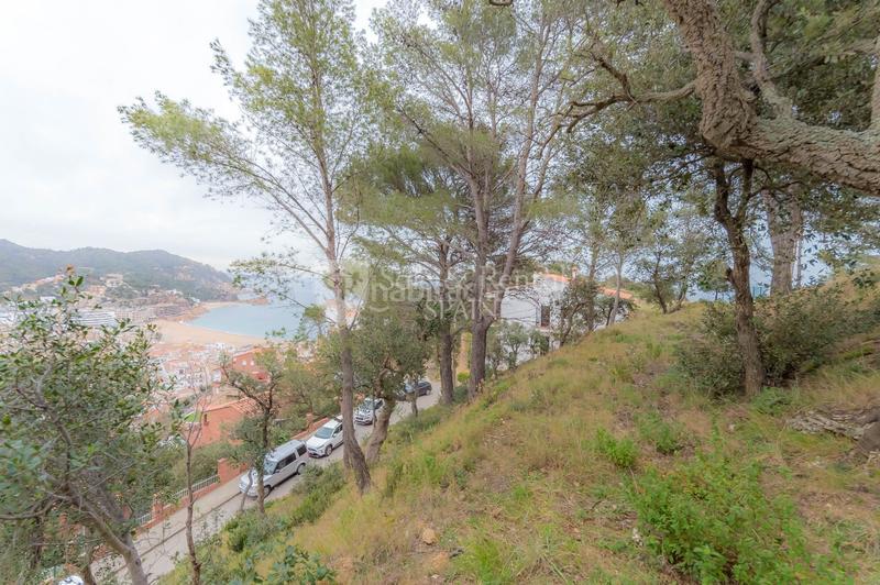 Foto f61bbf06-4866-4c64-a279-7dfc78cccaa7. Terreny residencial a Tossa de Mar Tossa de Mar