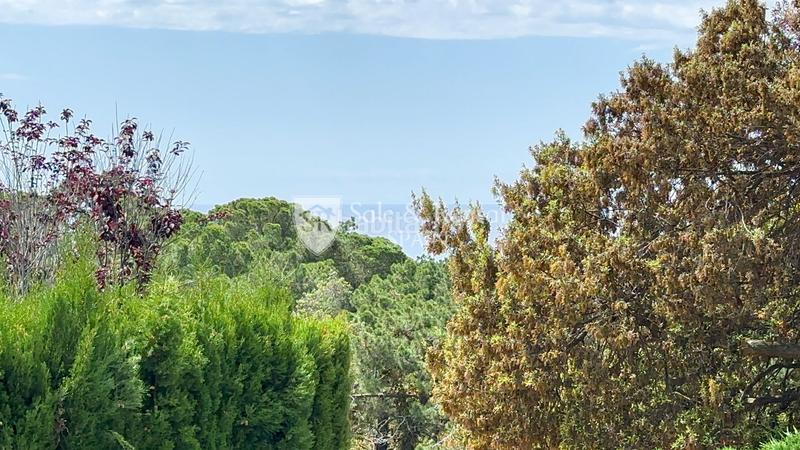 Foto 6a72559d-90ec-4074-aeab-a591ff4bc9e7. Casa con piscina in Canyelles Lloret de Mar