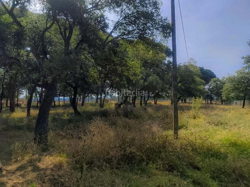 Foto 047acd70-c1bf-4012-9c0e-b053803cfe22. House with heating pool in Caldes de Malavella