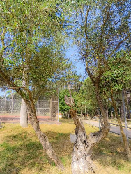 Foto 708dc1ab-b394-44fc-82db-f961aee1e46d. House with heating pool in Caldes de Malavella