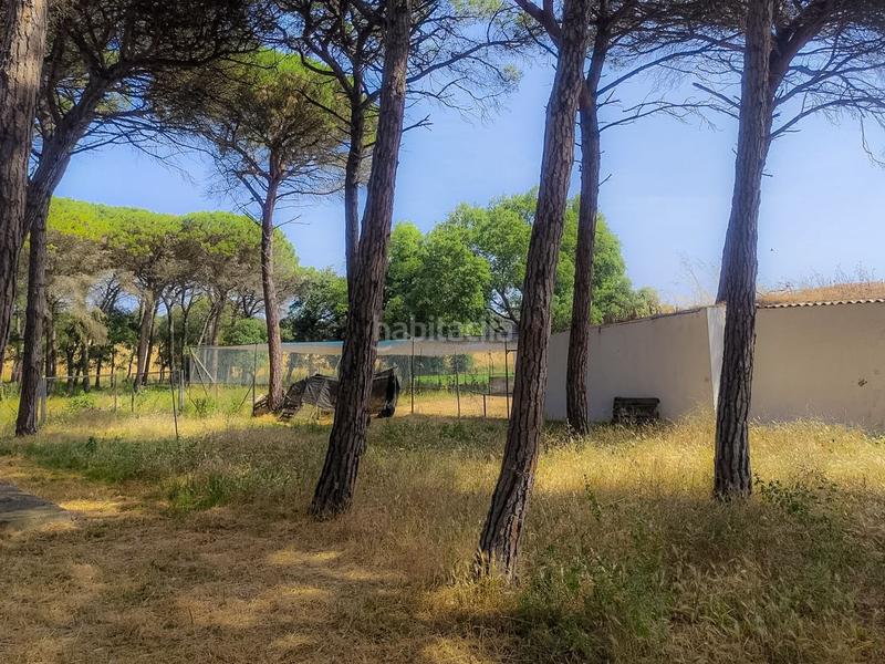 Foto dc33033e-4312-4a0b-93e8-d06ceea4ee17. House with heating pool in Caldes de Malavella