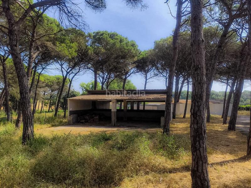 Foto ff370359-d682-4ed3-ba23-6ad0c574066d. House with heating pool in Caldes de Malavella