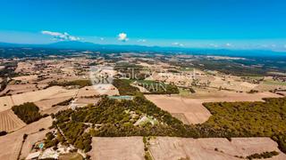 Masía en Llagostera. Masía catalogada del siglo xvii con unos 14.000 m de terreno y p