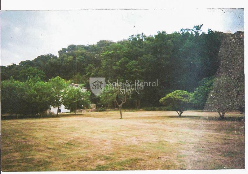 Foto 13b29b8a-7c52-4cb6-b80a-14be7efb8c5f. Casa a Urbanitzacions Sant Pol de Mar