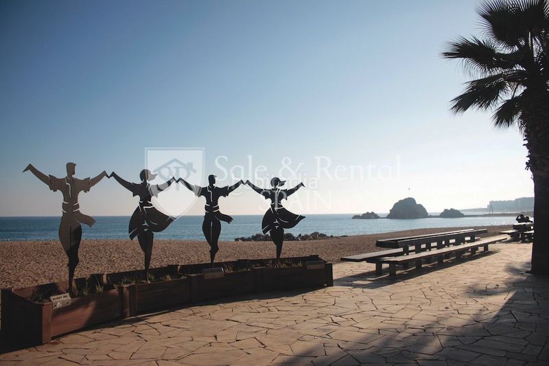 Foto cdf7ddb4-2a48-491b-bdf9-8e0e691d0d9c. Local comercial a Els Pins Blanes
