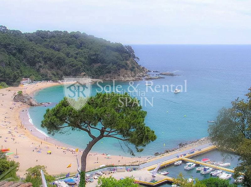 Foto 3a9786ab-e801-457b-a0ae-3fa0282af965. Casa amb calefacció piscina a Canyelles Lloret de Mar