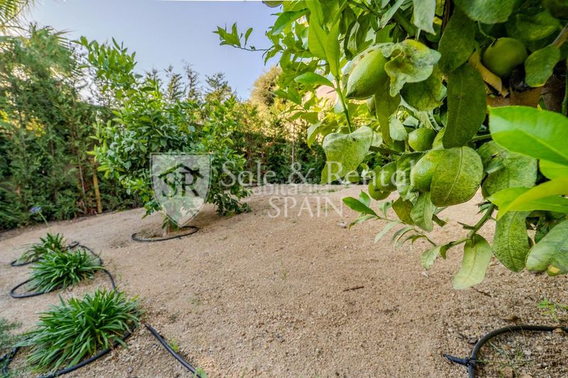 Foto a965e215-7db5-4230-bc45-c78a5ad6b328. Casa amb piscina a Roca Grossa Lloret de Mar