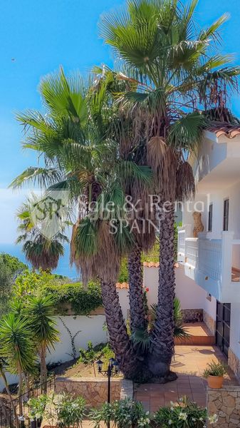 Foto dbfdf081-fefb-4a64-8572-45592ef2f977. Casa amb calefacció piscina a Serra Brava Lloret de Mar