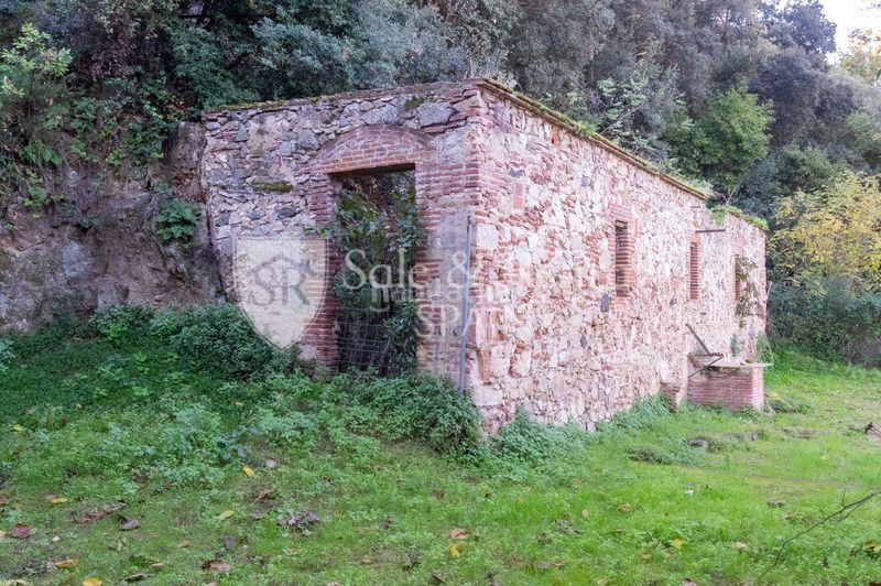 Foto 7357a712-2c01-46f2-9a51-16476df09c9c. Masia a Urbanitzacions Sant Pol de Mar