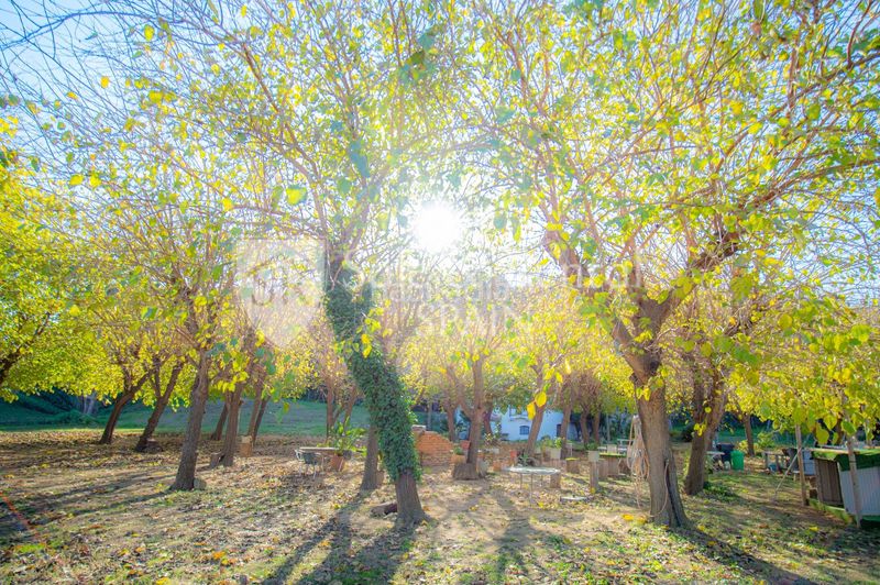 Foto 90a7f1fb-1b35-4562-b484-52dc59ff27b3. Masia a Urbanitzacions Sant Pol de Mar