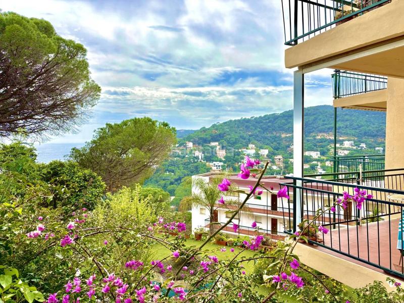 Foto 1423d7f3-0415-43d8-a6a0-f12cf45956a2. Pis a Rosamar Santa Cristina d´Aro