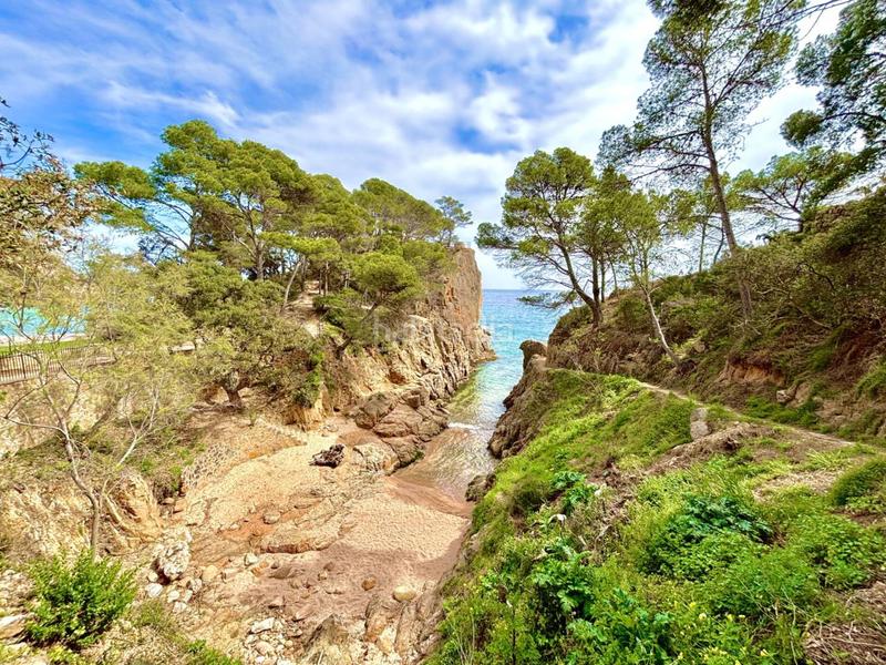 Foto 327ae7f9-7e4b-495c-bcea-e163835ada77. Pis a Rosamar Santa Cristina d´Aro