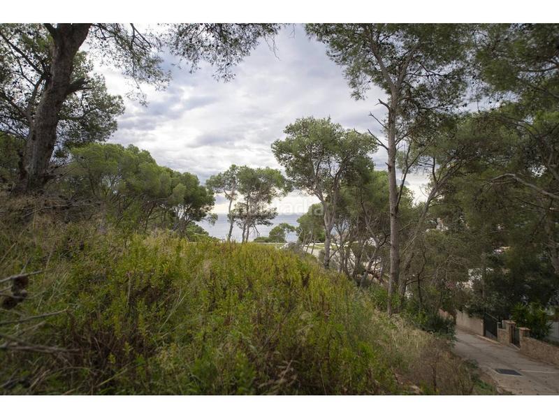 Foto 0b6ead19-e73a-4660-b966-a9c4b73431af. Appartement dans Tamariu