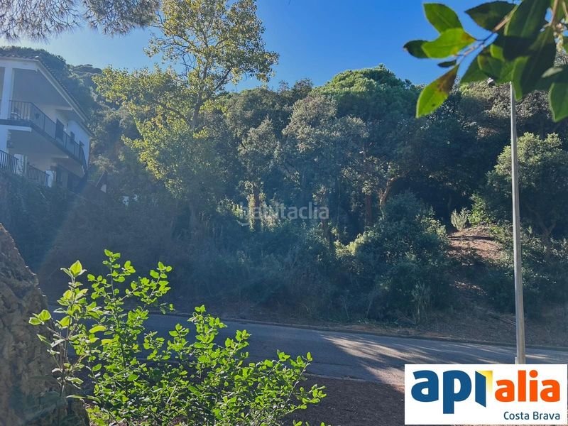 Foto 50485a3e-9b89-4a89-8274-78464e763057. Finca rústica a Rosamar Santa Cristina d´Aro