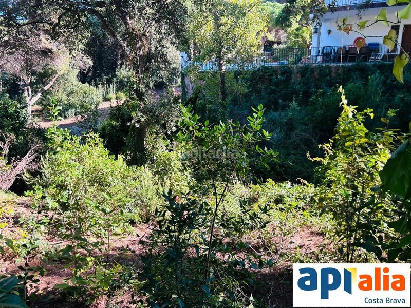 Foto 8308e439-7da4-49b8-93c6-02ca58ea37fe. Finca rústica a Rosamar Santa Cristina d´Aro