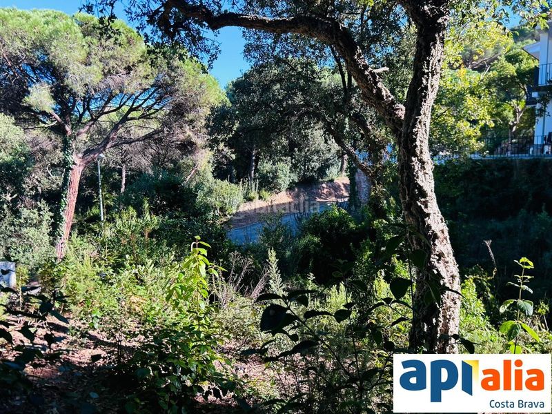 Foto c0a30a46-ef61-427c-a2ec-d124720d5cfb. Finca rústica a Rosamar Santa Cristina d´Aro