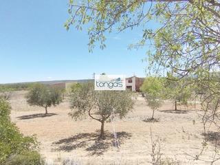 Chalet en Enguera. Inmensidad, libertad y paz en el horizonte, 45 hectreas y 1700