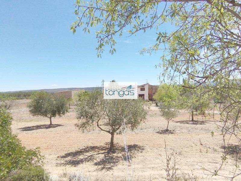 Foto aefea5e4-3e3e-4b2e-88bf-024c83e72423. Chalet in Enguera