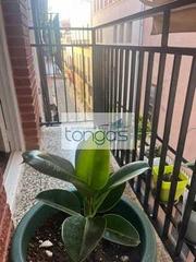 Appartement à Xàtiva. Piso semireformado en casco antiguo