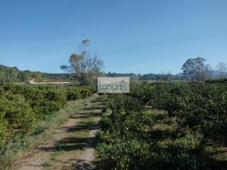 Fondo rustico in Lugar Nuevo de Fenollet. Parcela rustica
