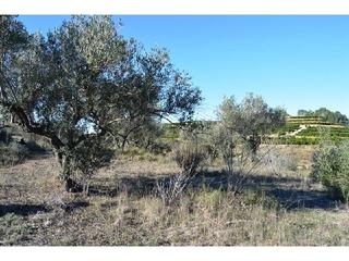 Finca rústica en El Genovés