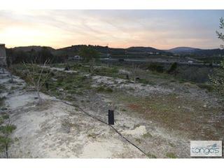 Fondo rustico in Llanera de Ranes