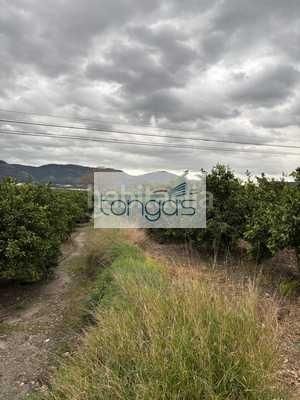 Foto 03f6eb2e-7c99-443a-a424-2805236130ed. Finca rústica a Xàtiva