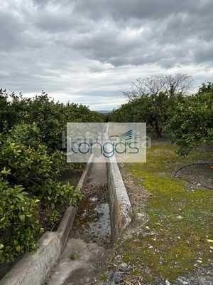 Foto 0cd4cb4c-f187-481e-a252-4e4f3d5effd1. Finca rústica a Xàtiva