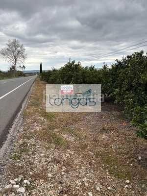 Foto 46218c5f-78c4-4d10-9d01-f2d00e5a478e. Finca rústica a Xàtiva