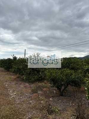 Foto 729d1375-aa1c-4ad8-b36f-6a4810b3f67d. Finca rústica a Xàtiva