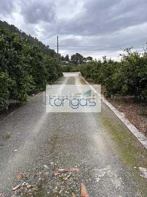 Foto 802b68c3-3058-403e-a124-ffa6d9903281. Finca rústica a Xàtiva