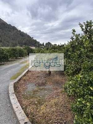 Foto bb20baca-9e02-495e-8c69-37544f8132a7. Finca rústica a Xàtiva