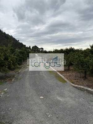 Foto c2e5ecec-fbea-4fb0-ba4d-f590b6e3f65e. Finca rústica a Xàtiva