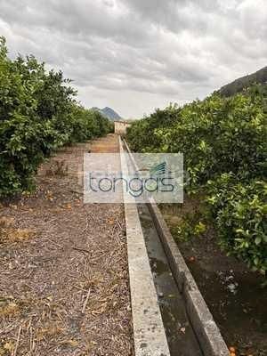 Foto d01e3cb7-1651-4151-ba93-ea4af6c524c0. Finca rústica a Xàtiva