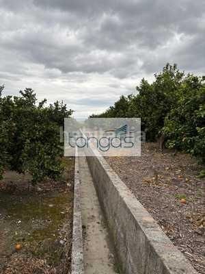 Foto e1687d6f-58d0-466d-bb28-f9a906928d16. Finca rústica a Xàtiva