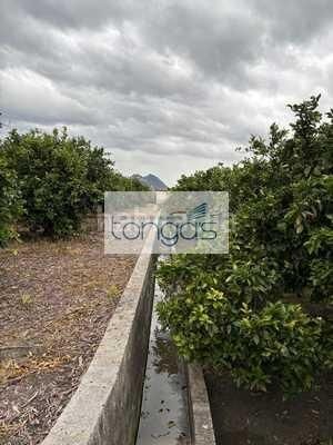 Foto e5506b65-e4b0-41b3-b379-4c329dd6ea57. Finca rústica a Xàtiva