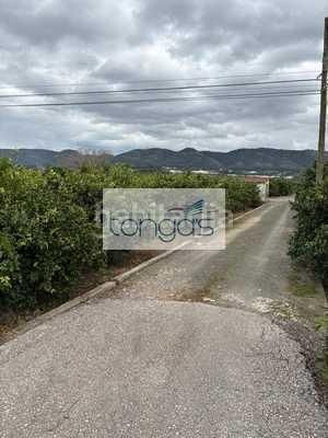 Foto fc494b92-81a7-4692-ae38-8c3442e2237d. Finca rústica a Xàtiva