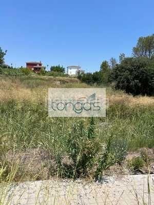 Foto efb01fe8-ddad-4e7e-87e8-ed2875d622d1. Terreny residencial a Xàtiva
